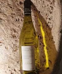 Vin de Bourgogne - Blanc